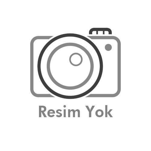 10LU AÇMIŞ GÜL TAKMALI